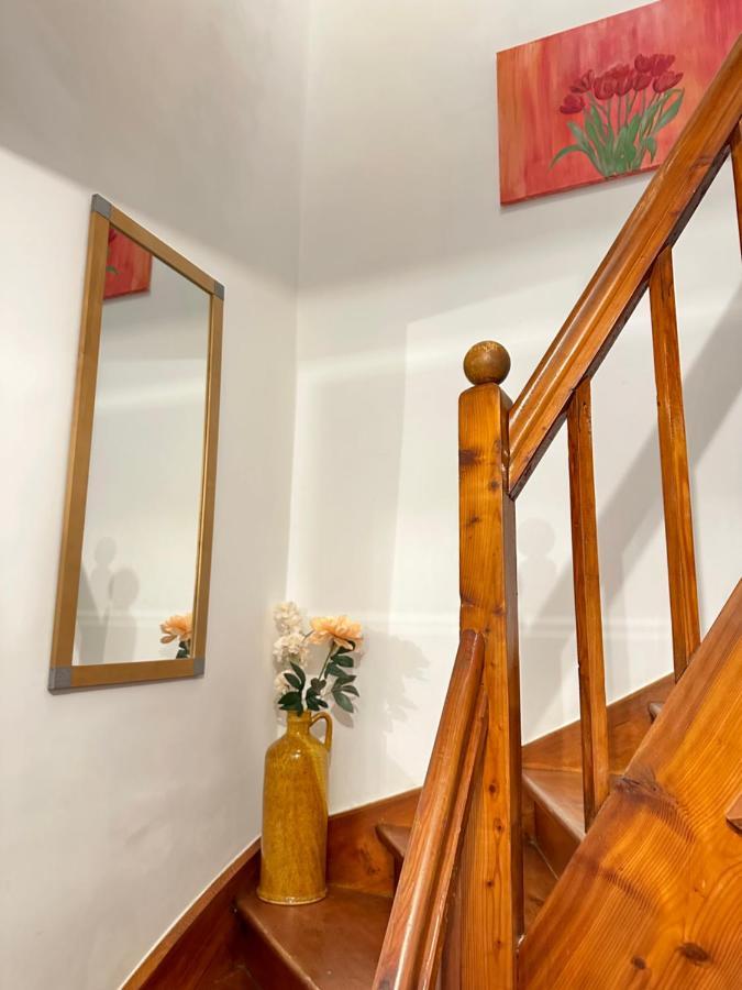 Green Paradise & Cozy Retreat Salzburg With Free Parking Kültér fotó